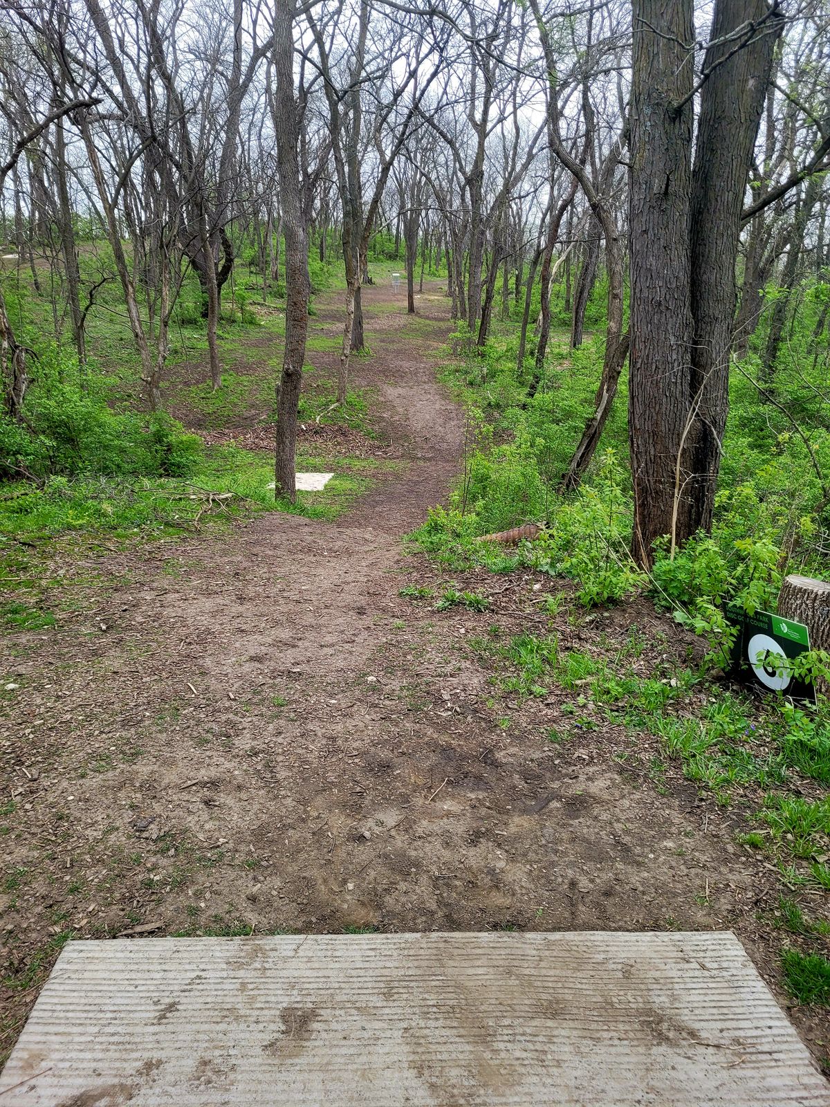 Hole 6 Long Tee