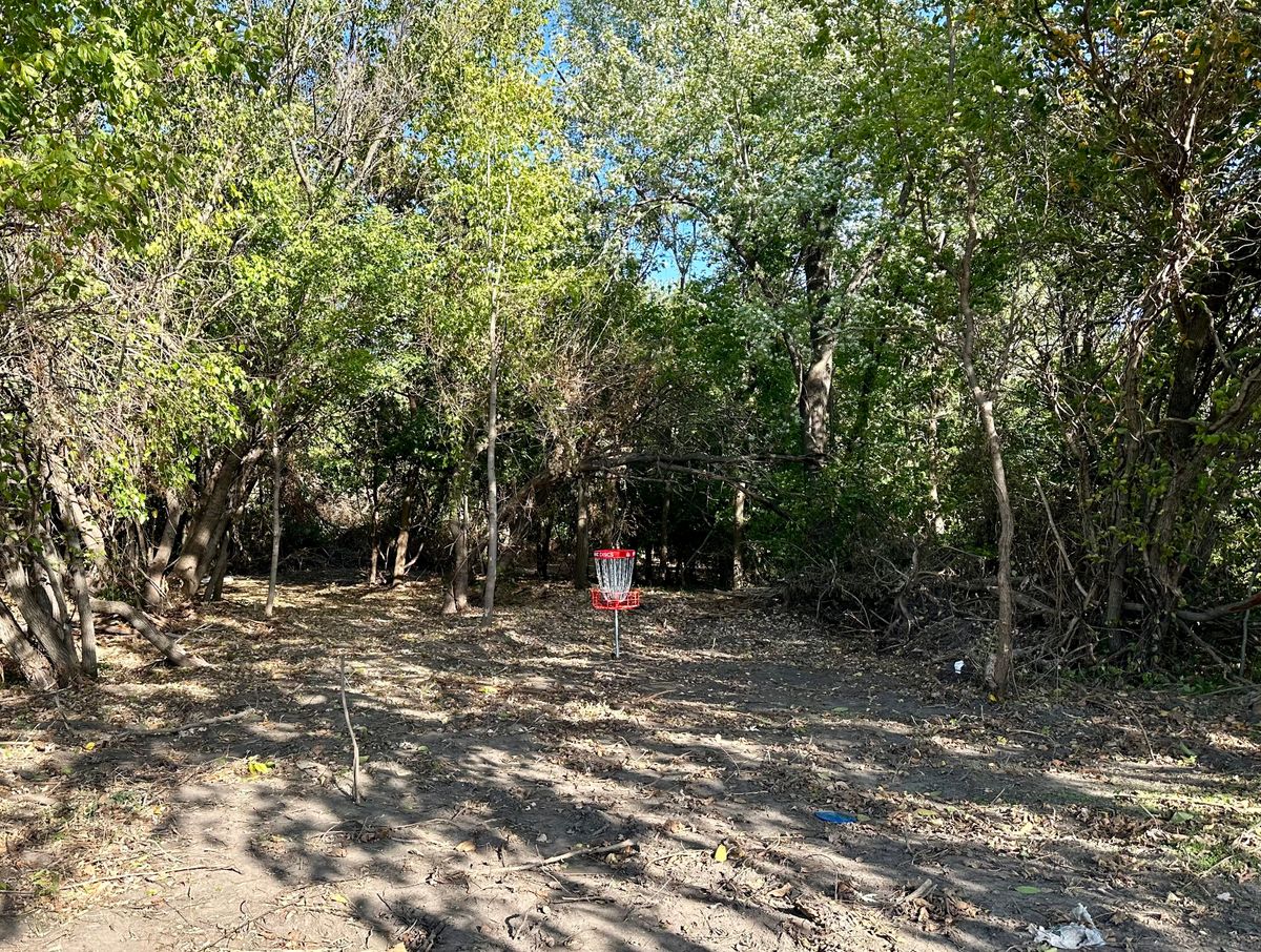 Hole #6 basket 