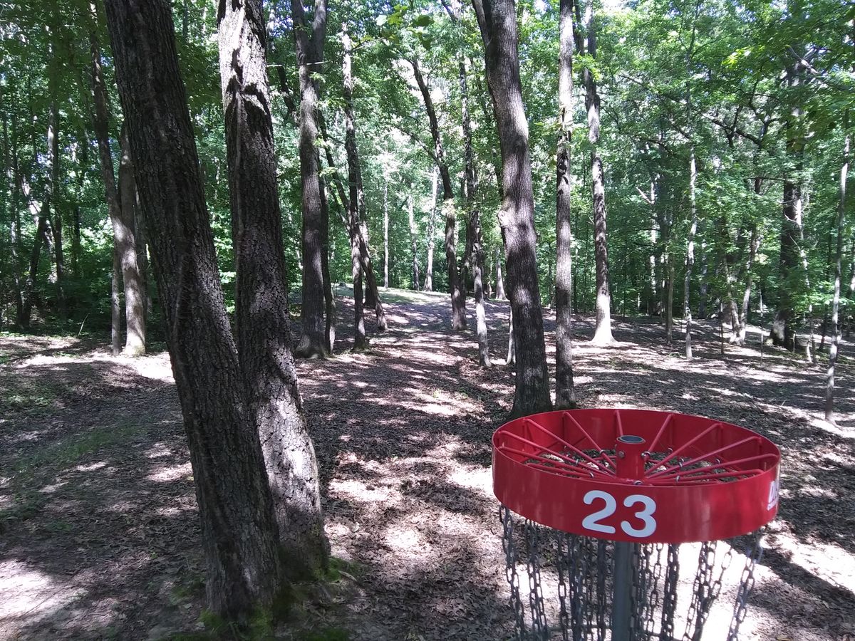 #23's target looking back down the hill toward the tee.