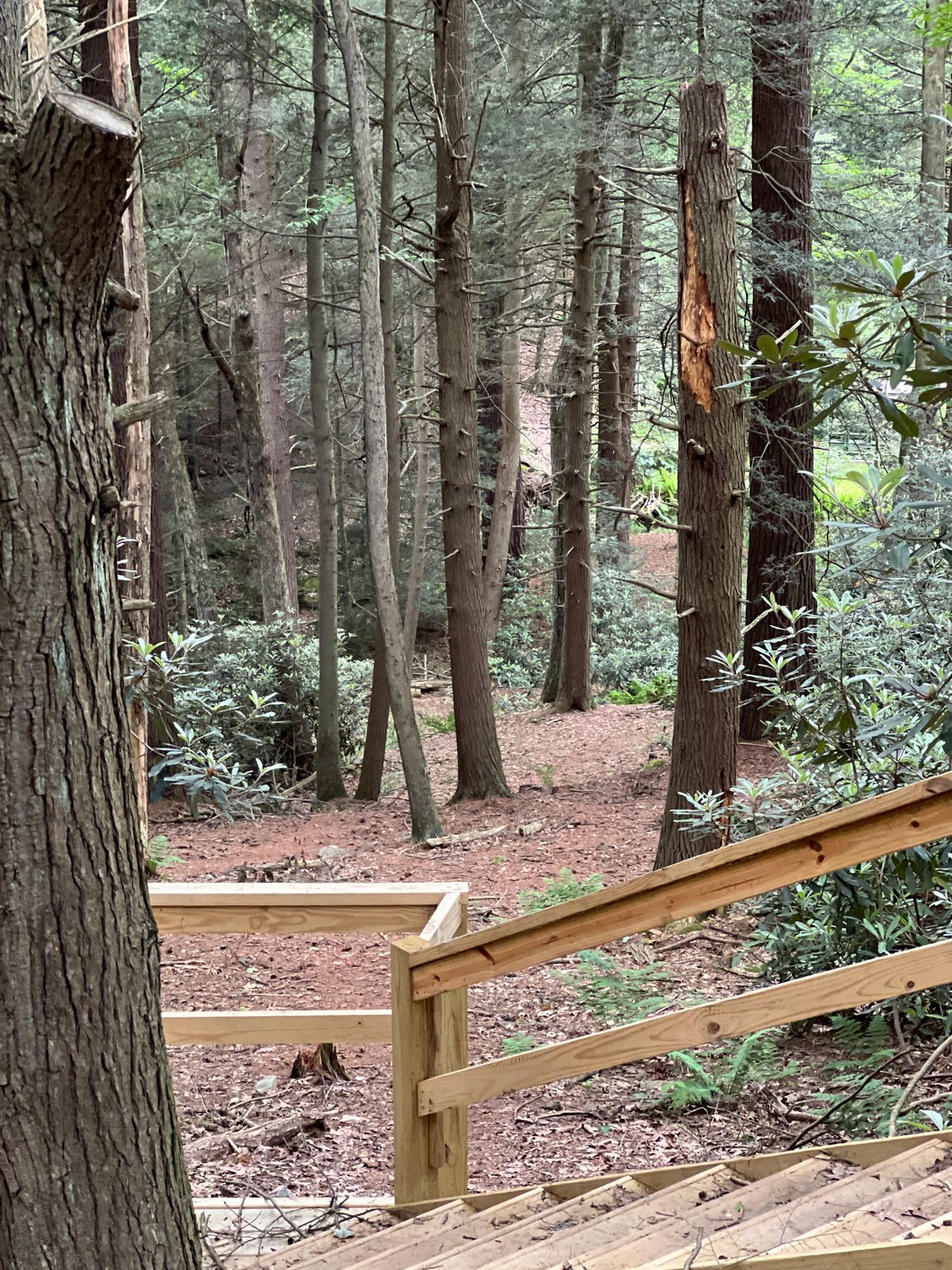 Hole 1
