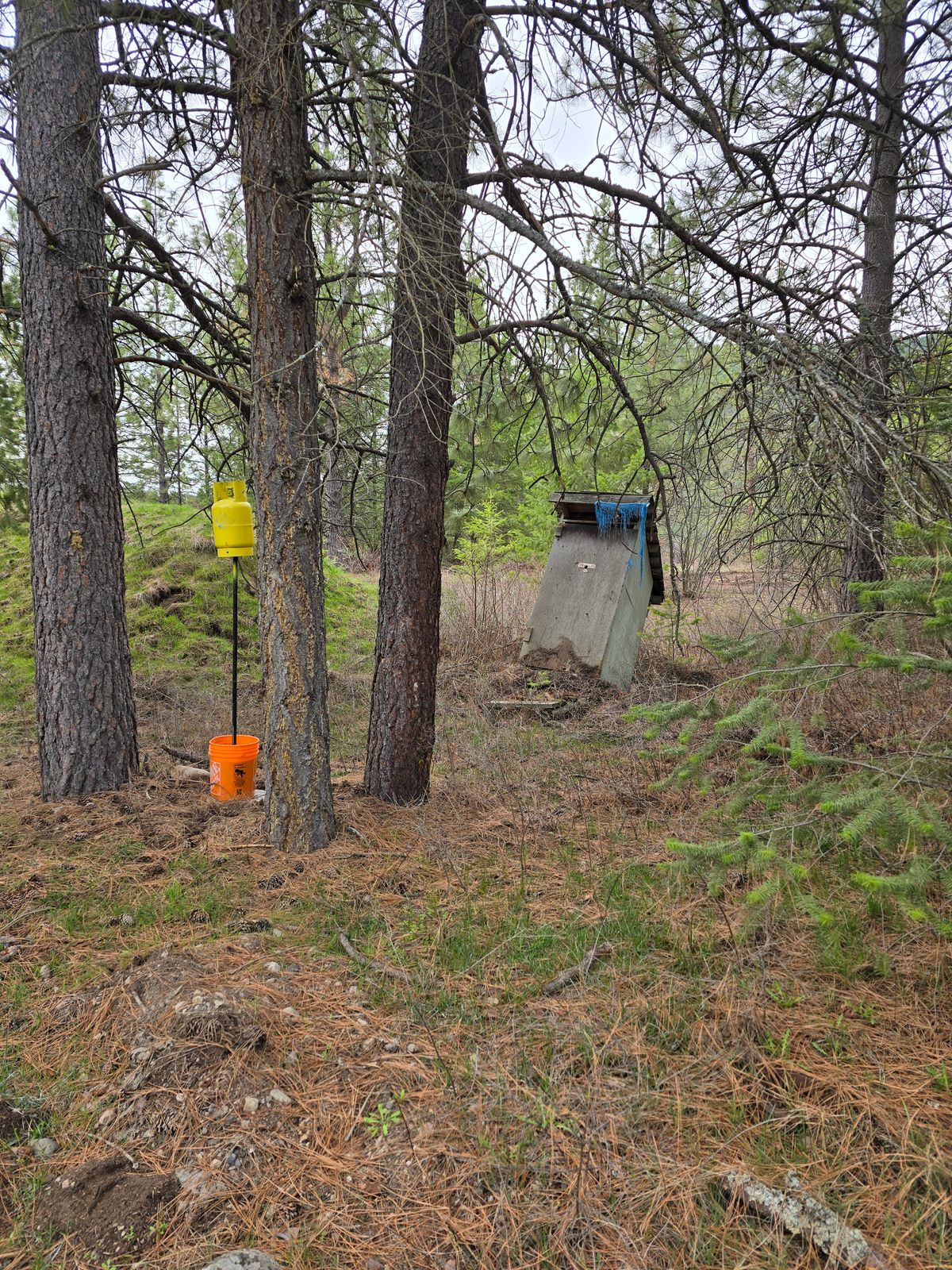 14th - Outhouse