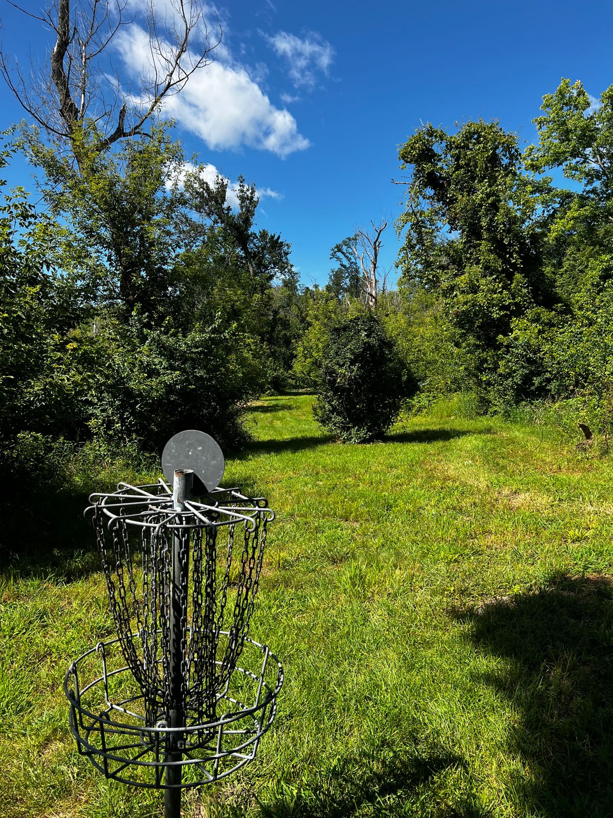 Hole Q Basket