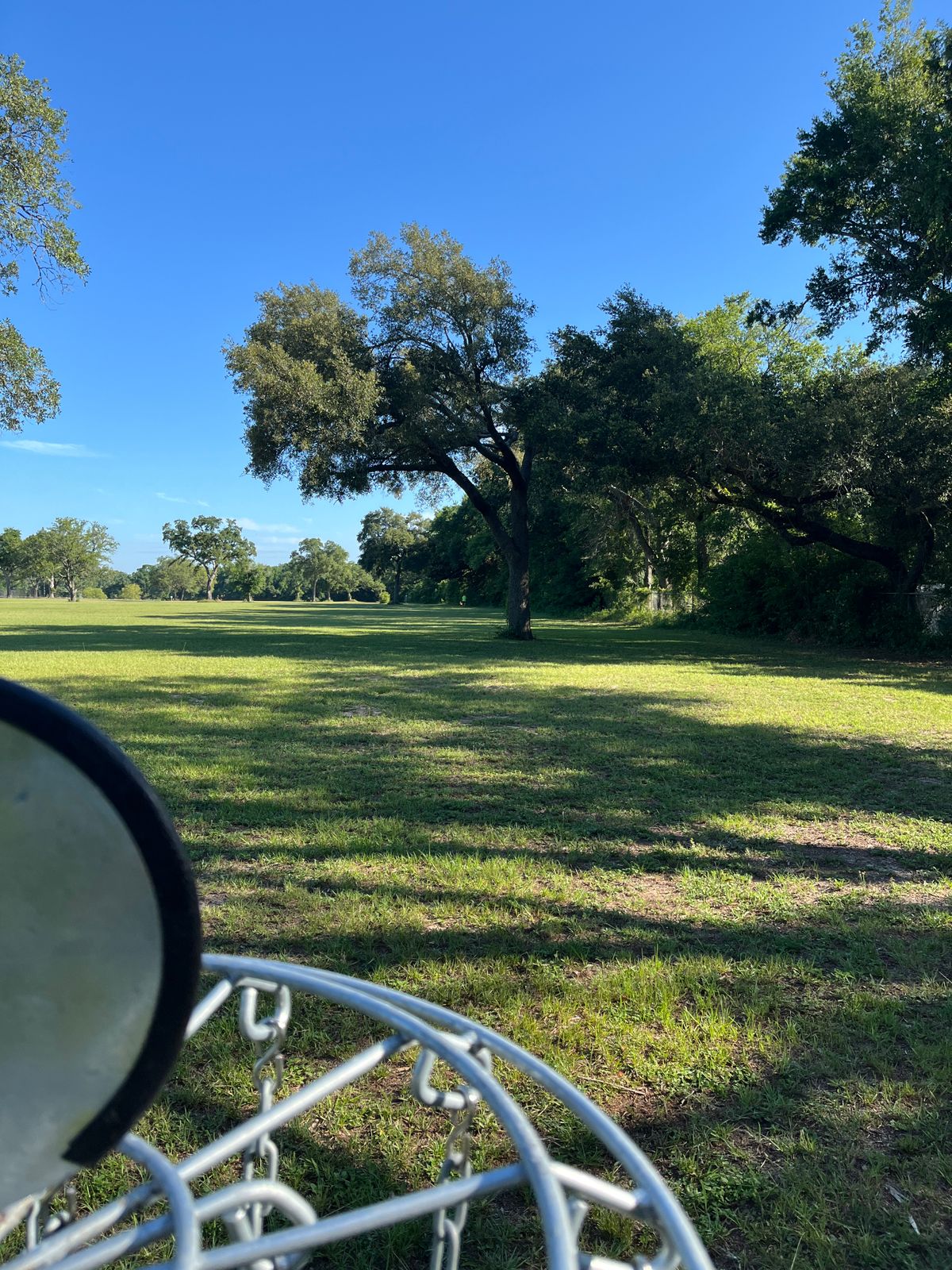 Hole 12 Basket to Tee