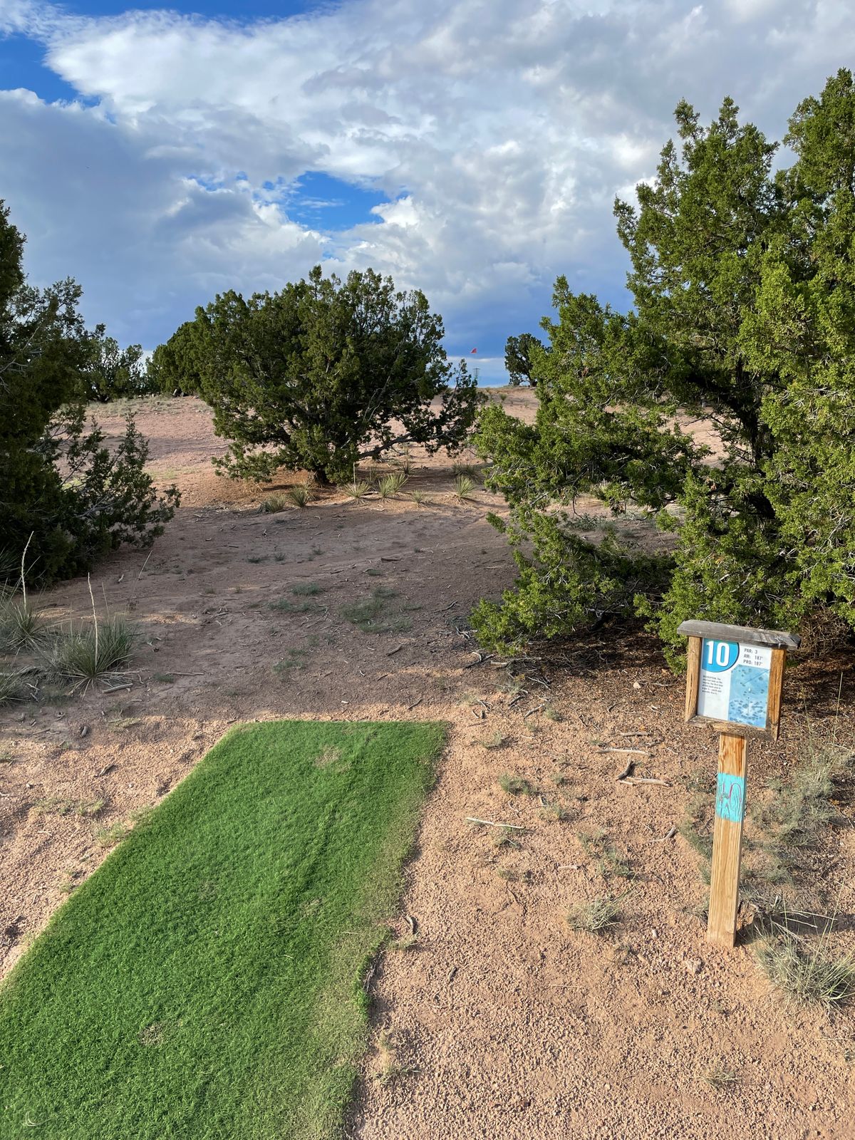 Hole 10 Pro tee pad