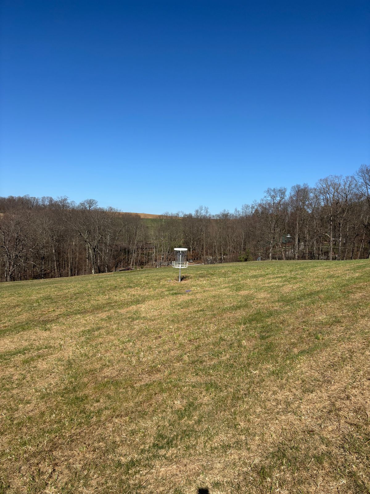 Hole 8 green.
