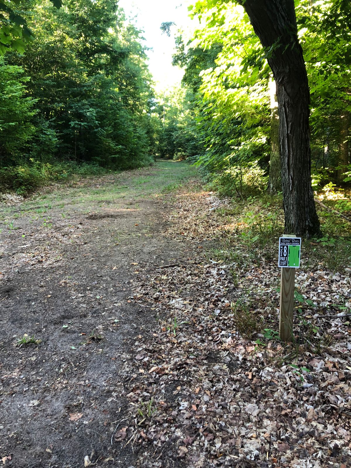 Hole 8