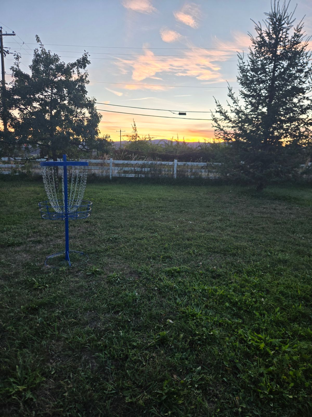 Basket 1/3/9