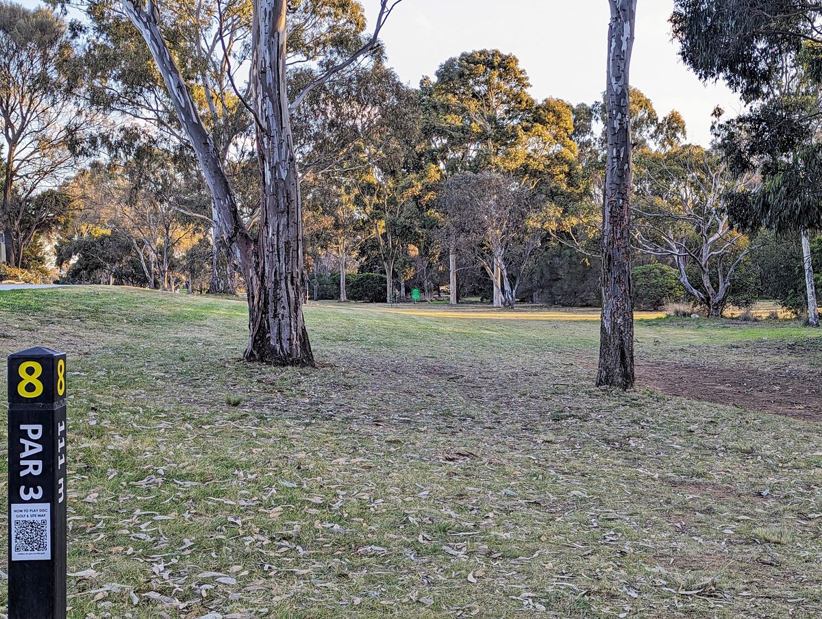 H8-par3 (110m)
