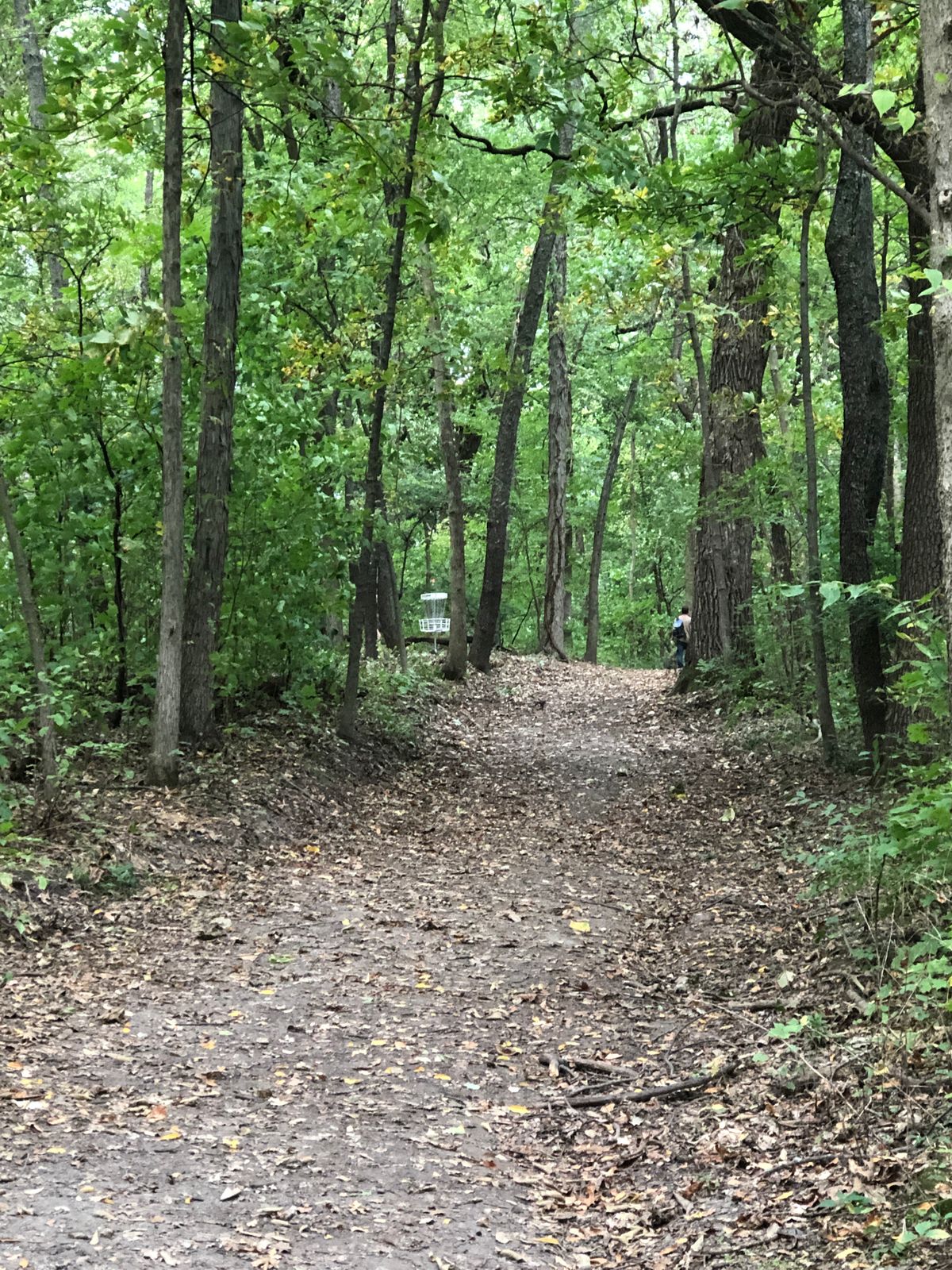 Hole 5 looking from the tee pad