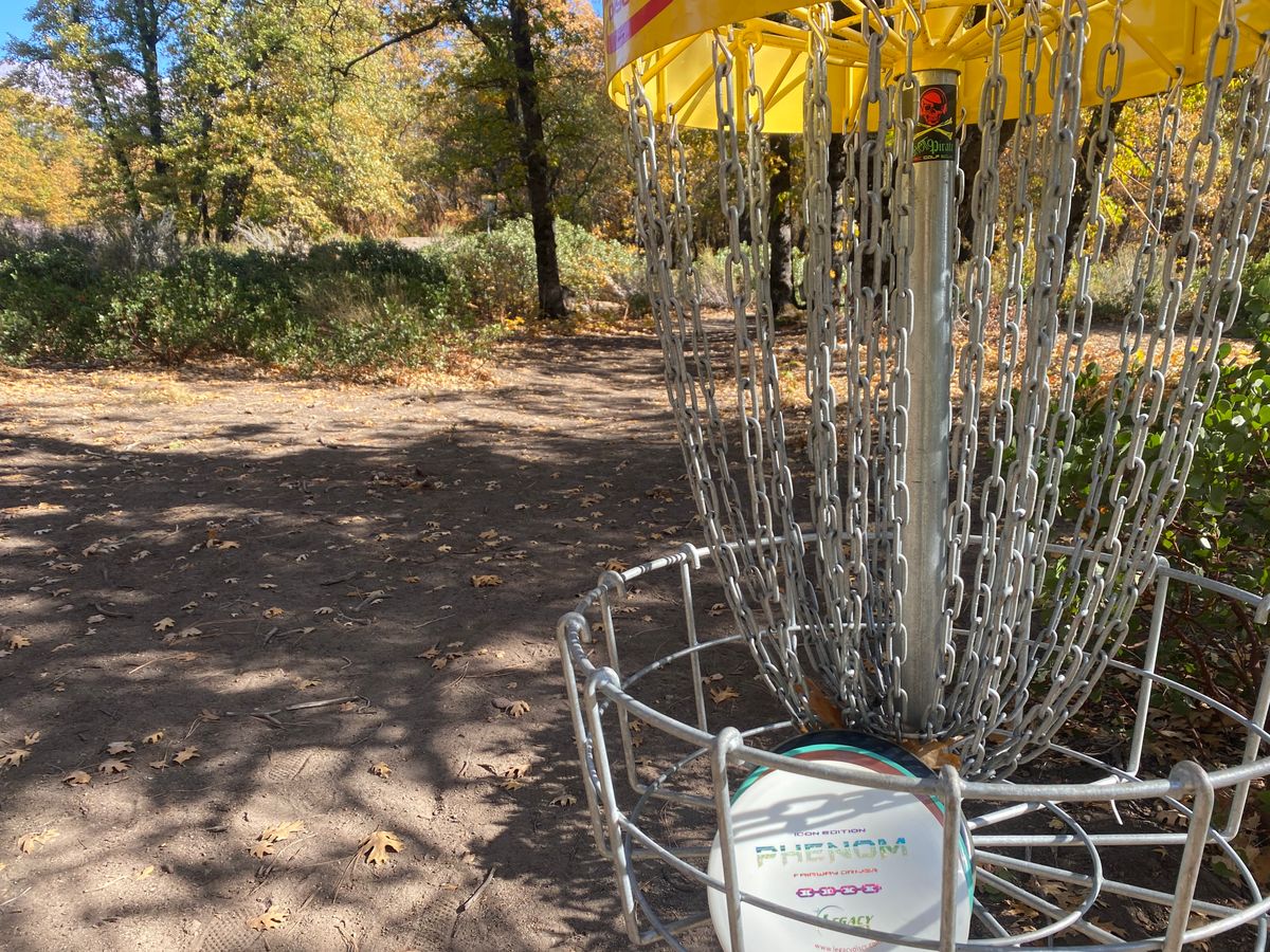 I don’t recommend throwing orange discs in the fall!  Ghetto Pirate approved!