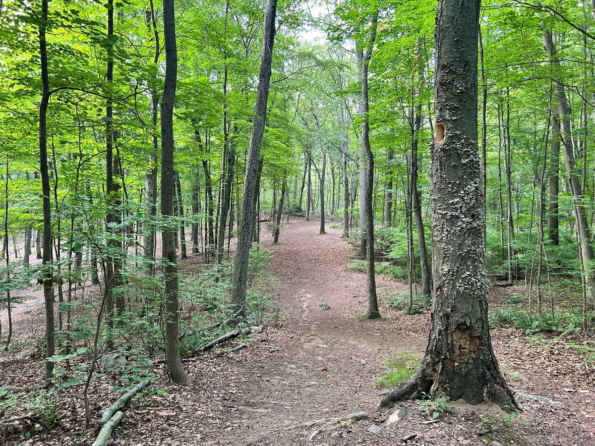 Hole 2