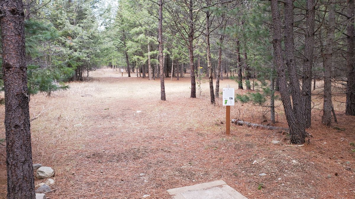 Tee pad hole 7