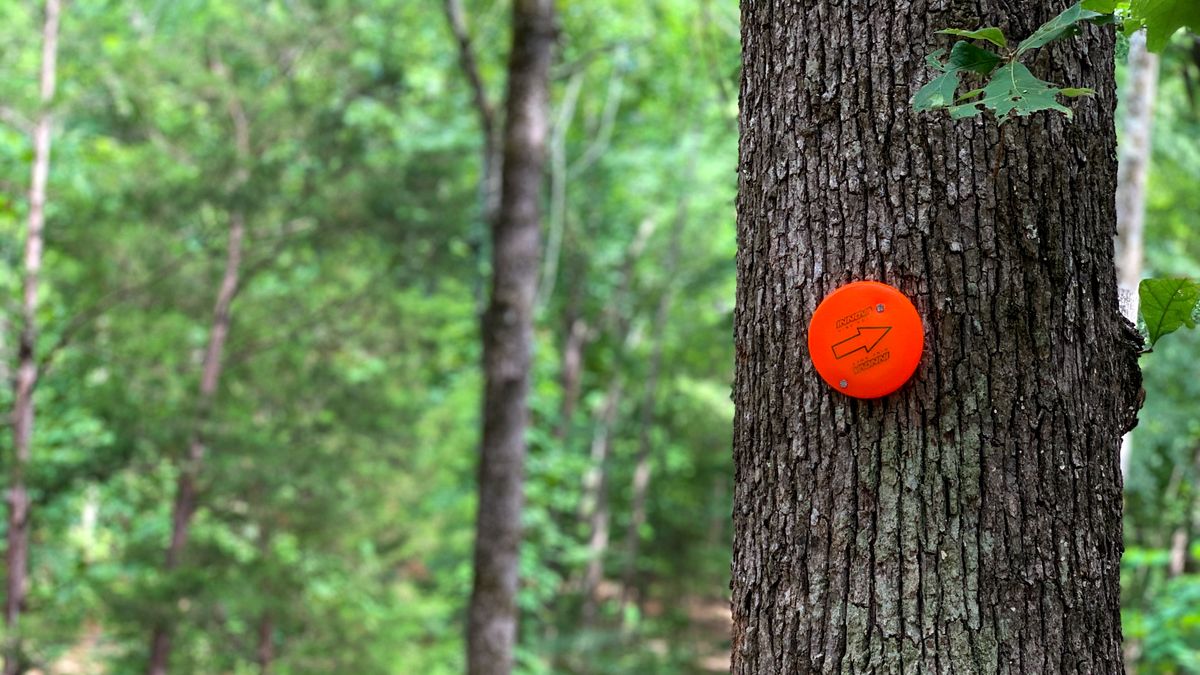 Hole 5