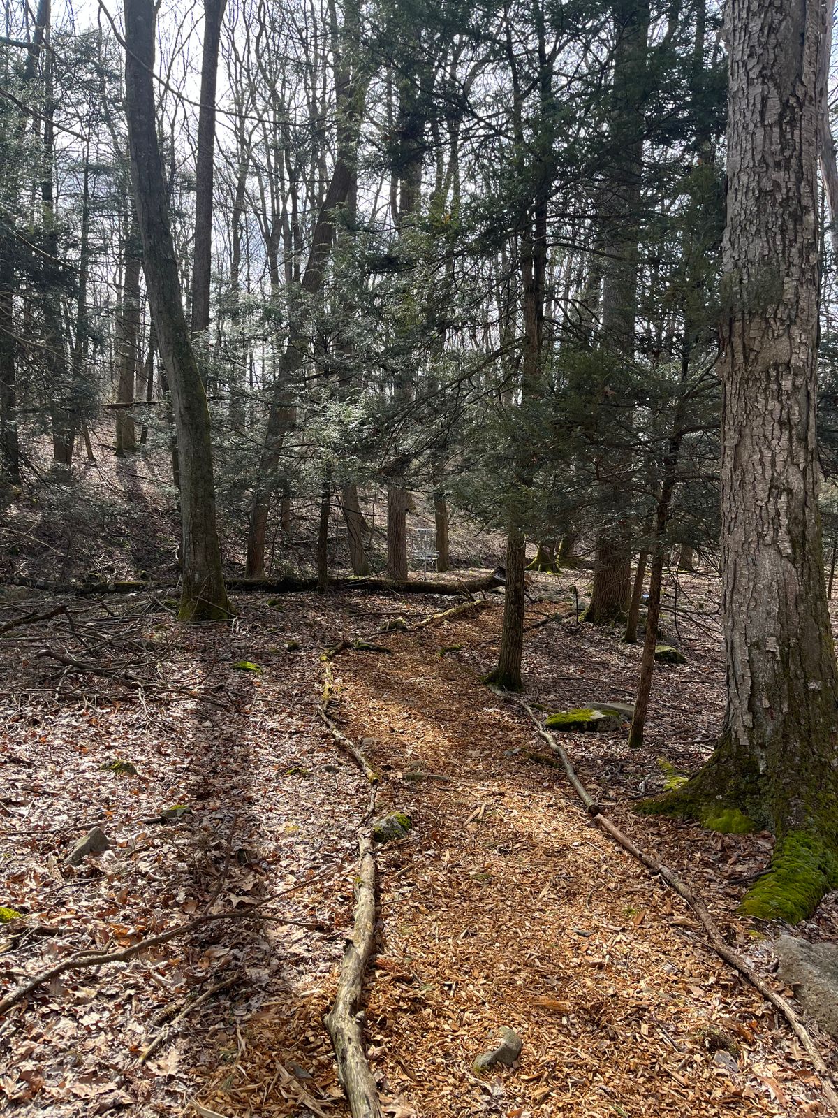 path from hole 10 to 11