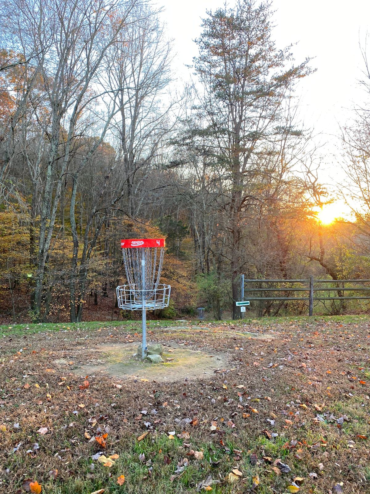Hole 4 Basket