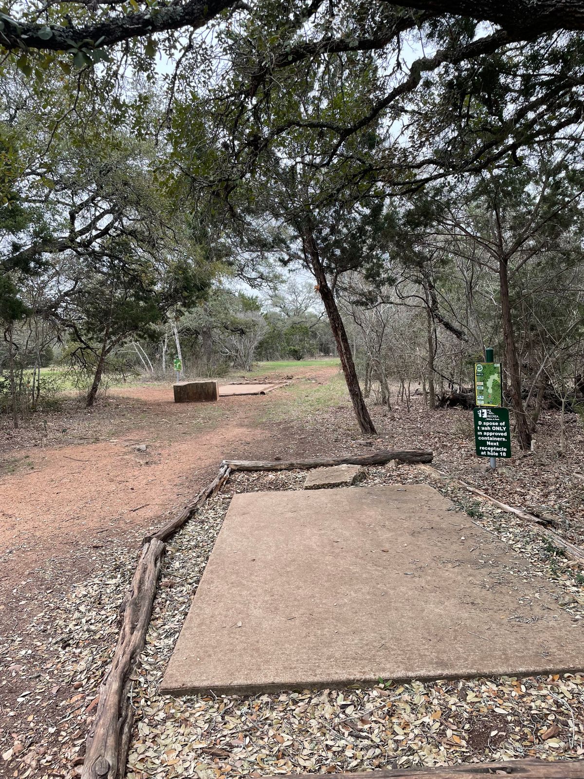 Hole 15 from the Long Tee (Blue)