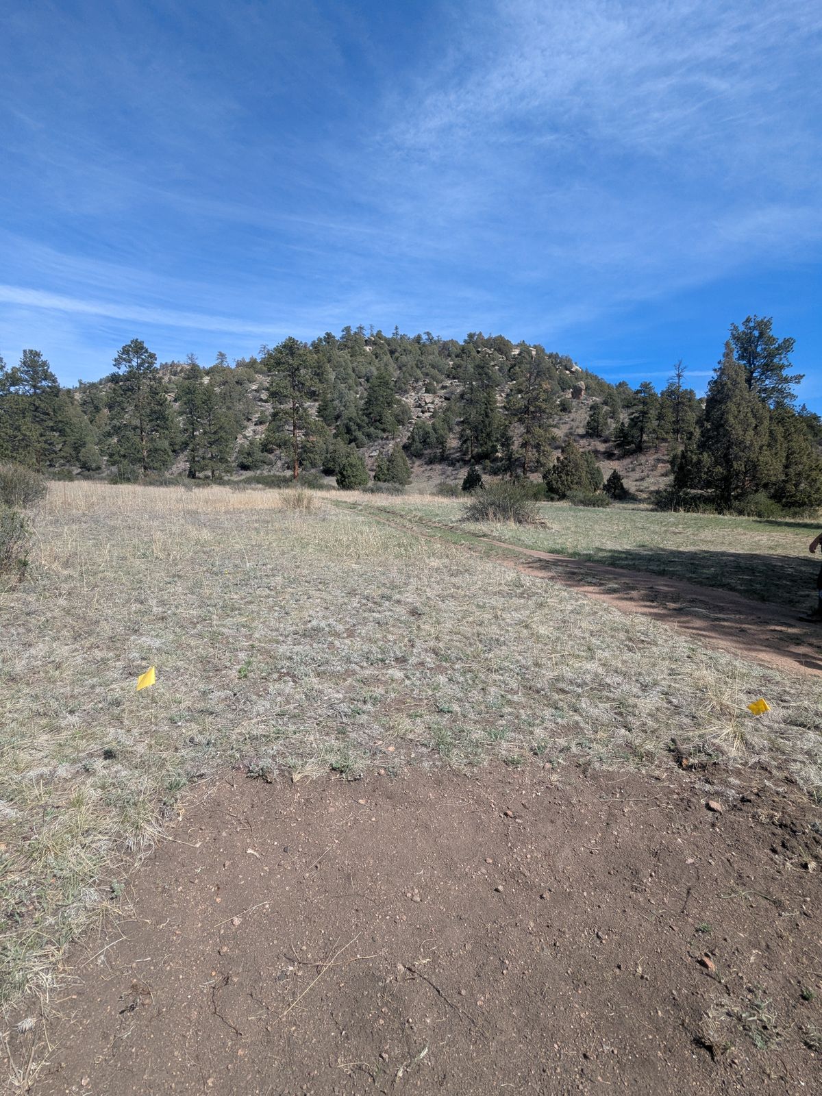 Hole 3 from tee area