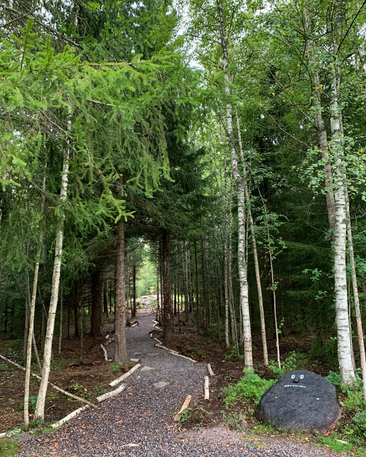 Ramirent Layout, hole 16
