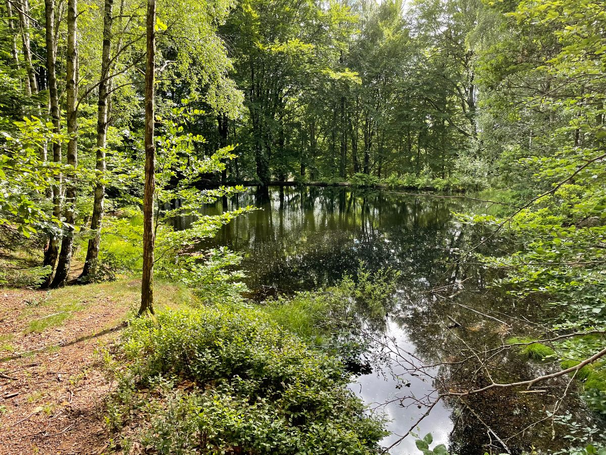 Beautiful course