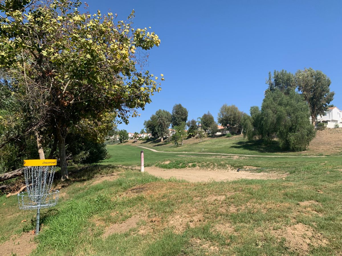 Alpha Hole 16 Basket