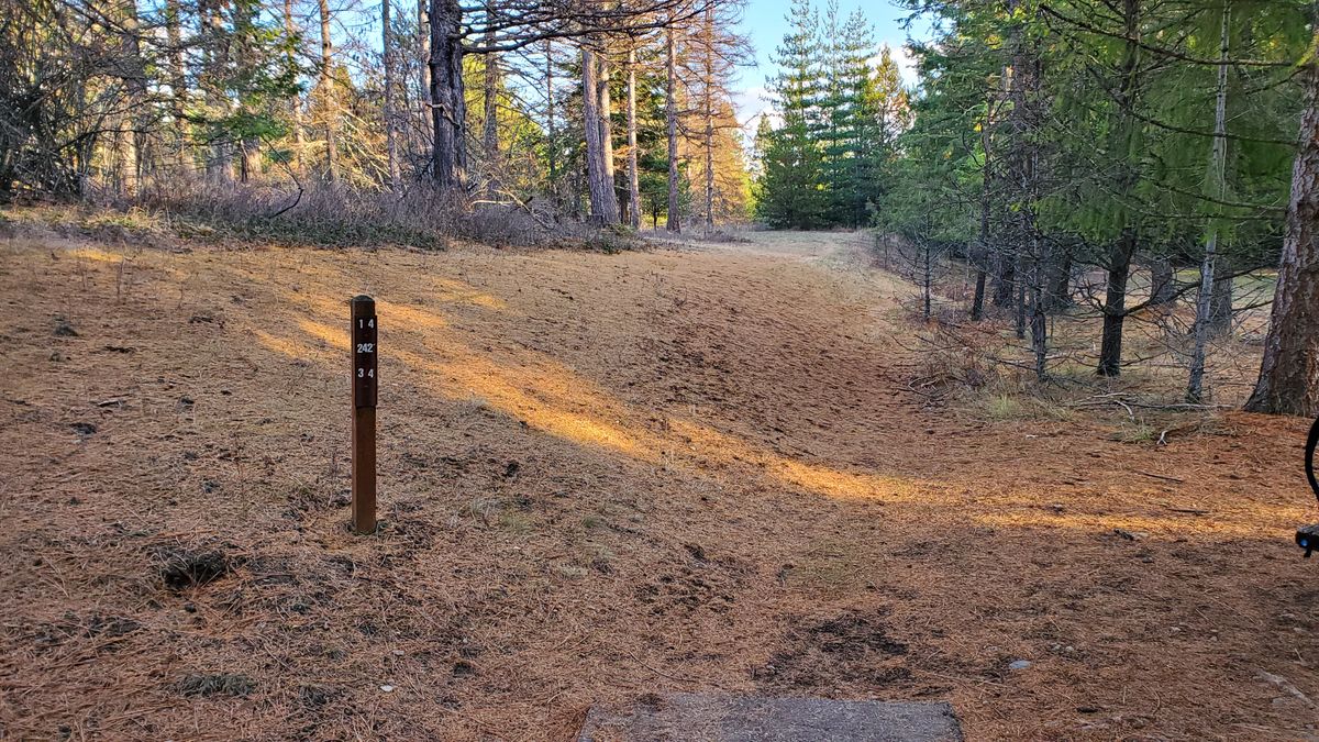 Tee pad hole 14