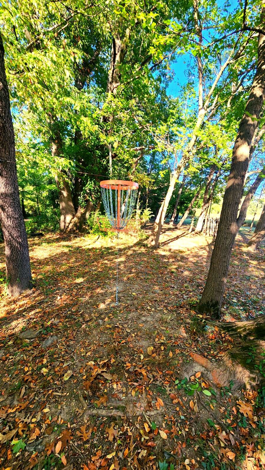 Hole 3 basket