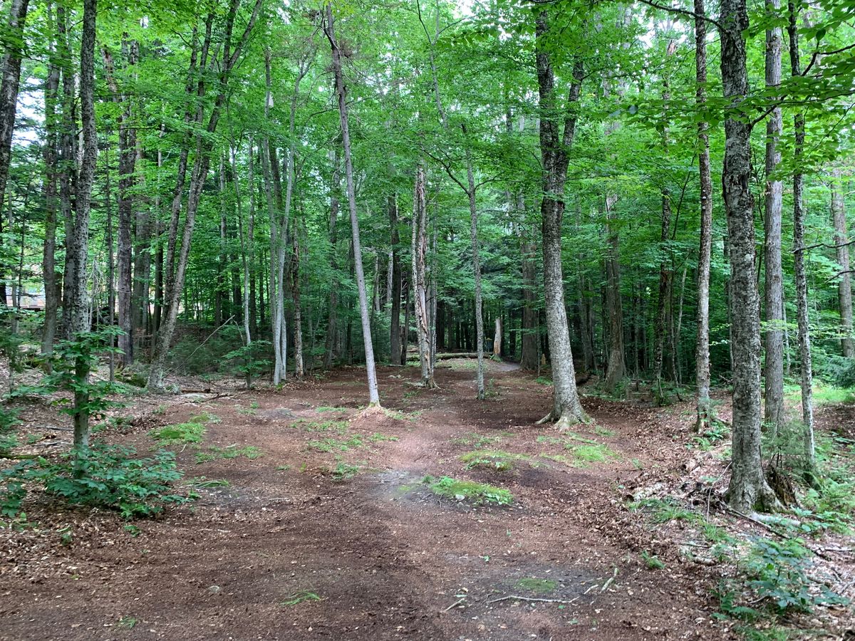 Hole 8 has been raked!