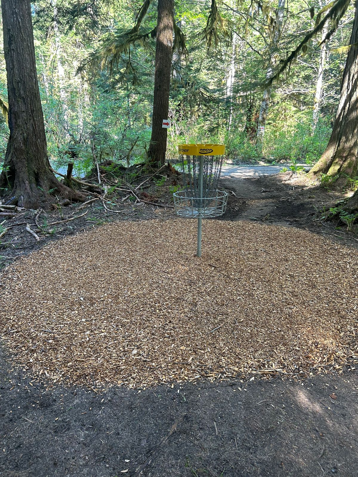 freshly mulched green of hole 1