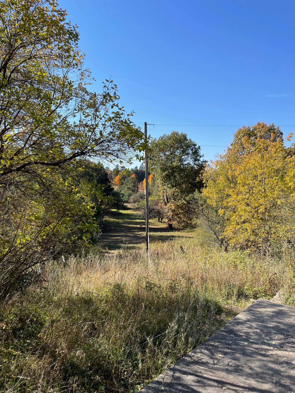 9s elevated tee pad looking down fairway