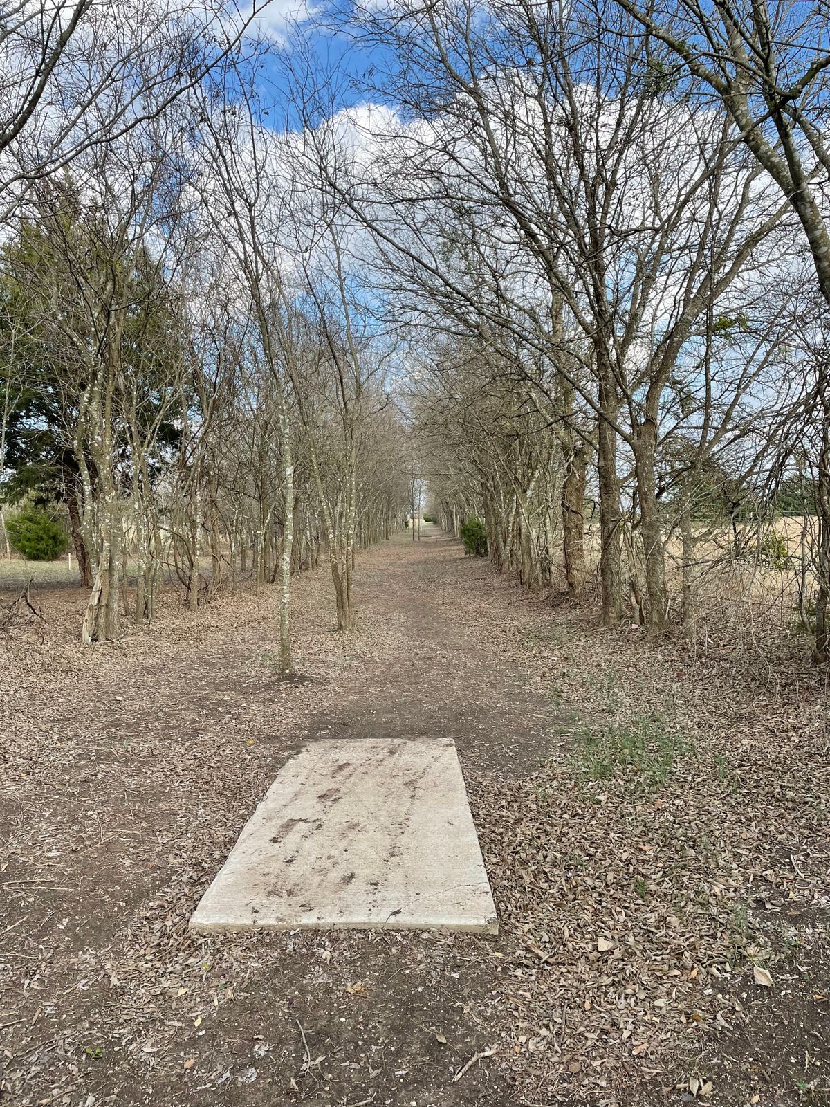Hole 14