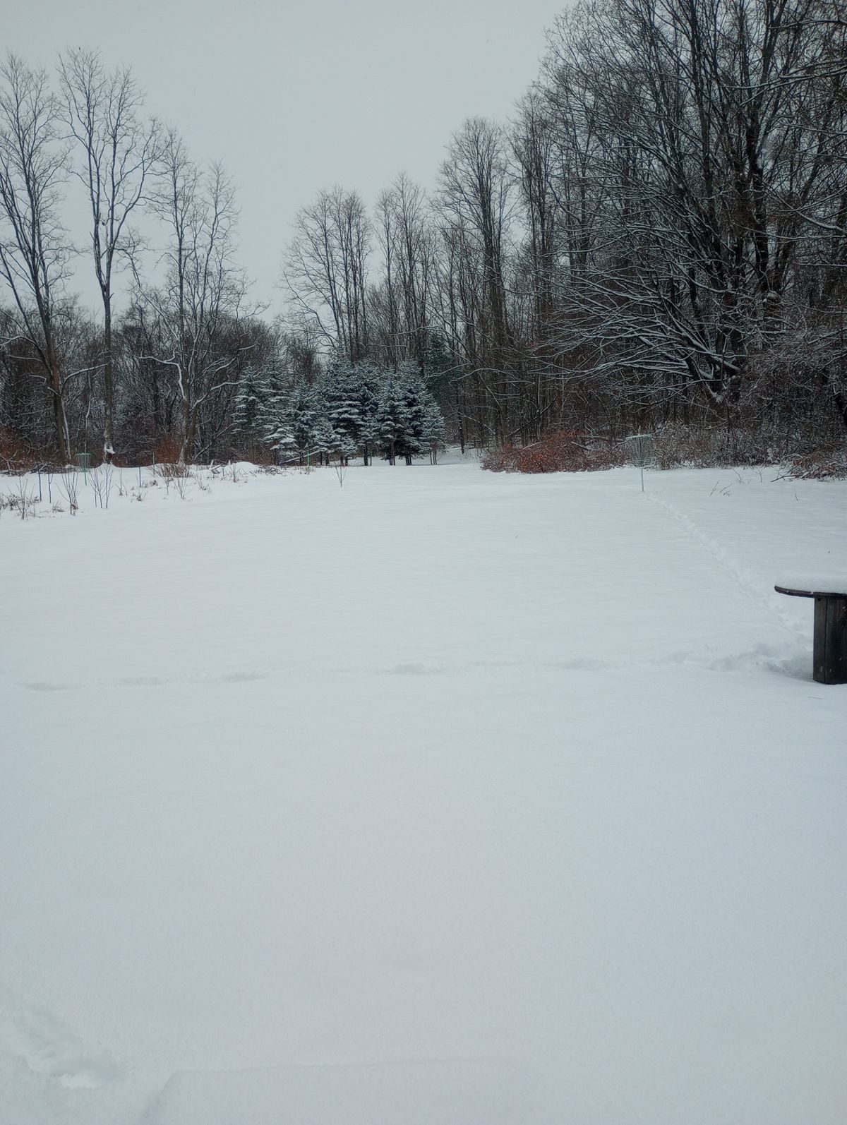 Tee Winter