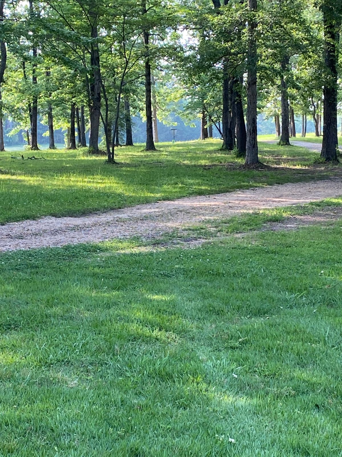 TeeBox #1