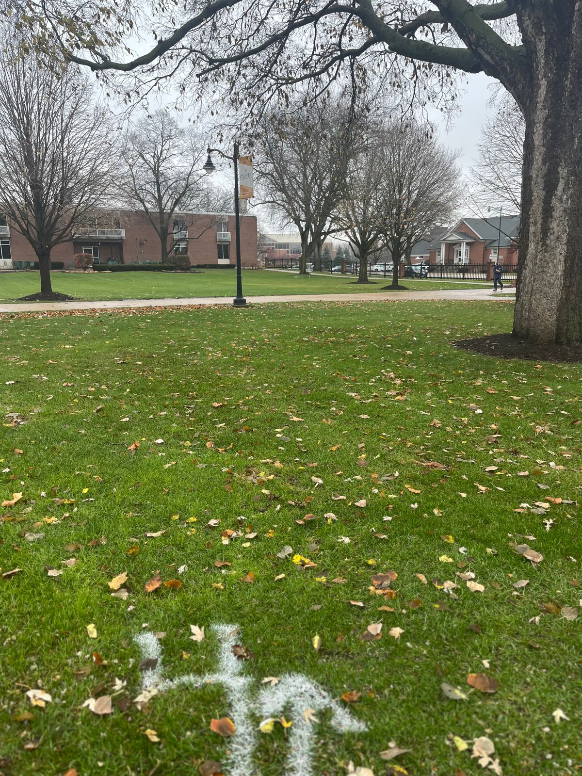 Hole 4 Tee