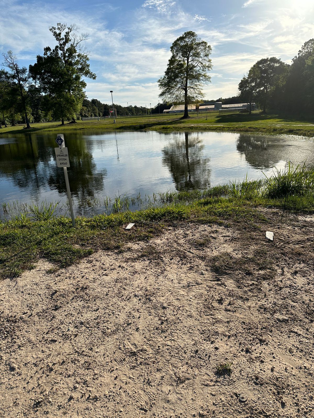 Hole 7 tee
