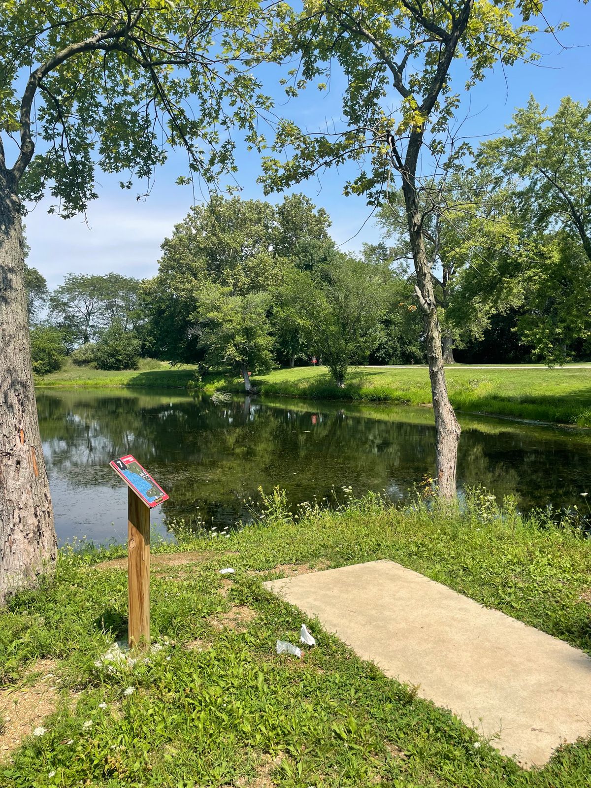 Hole 7 teepad, basket in the middle of the photo.