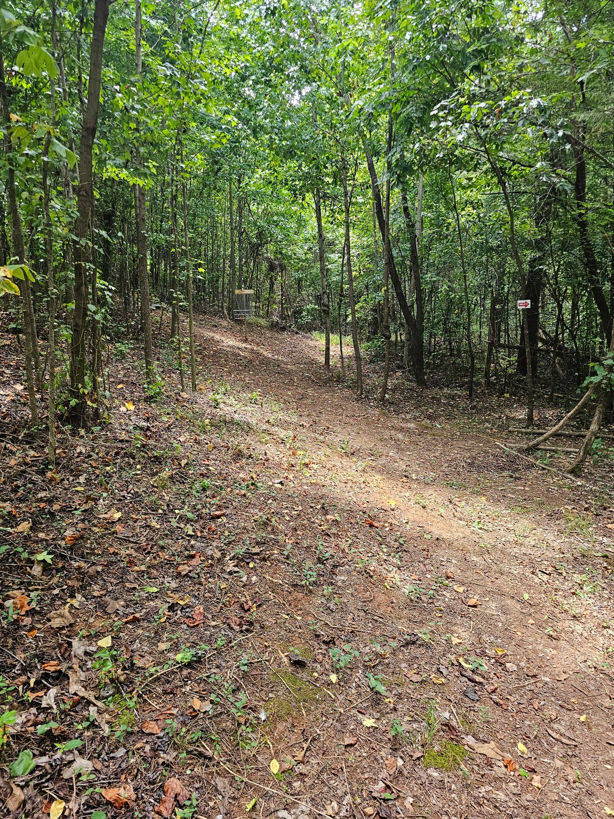 Hole 2's fairway