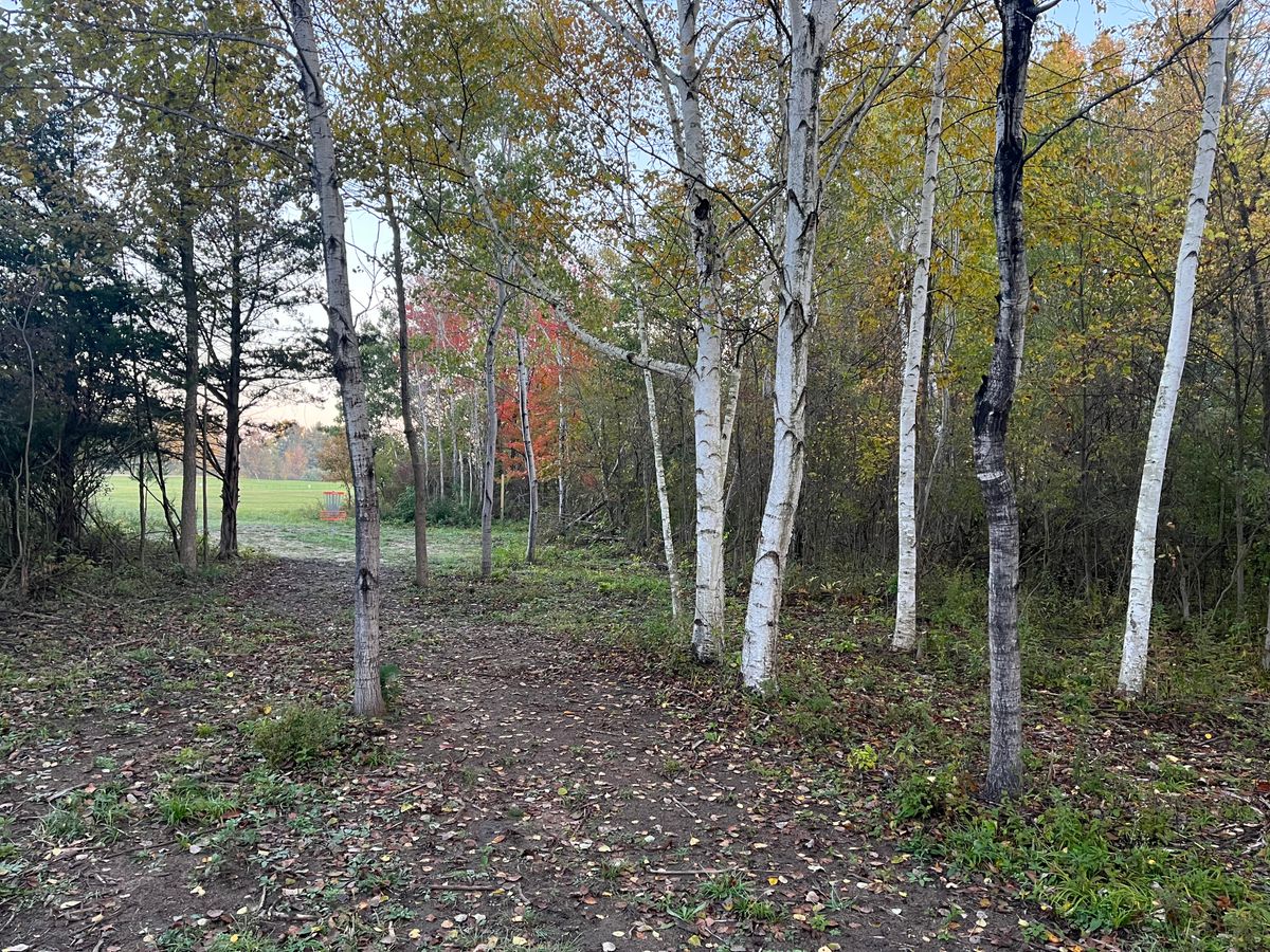 Hole 2 short approach