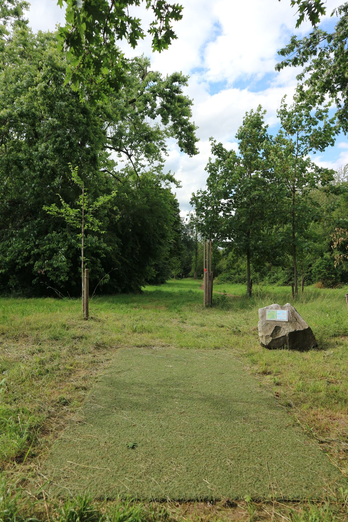 Tee from hole 16