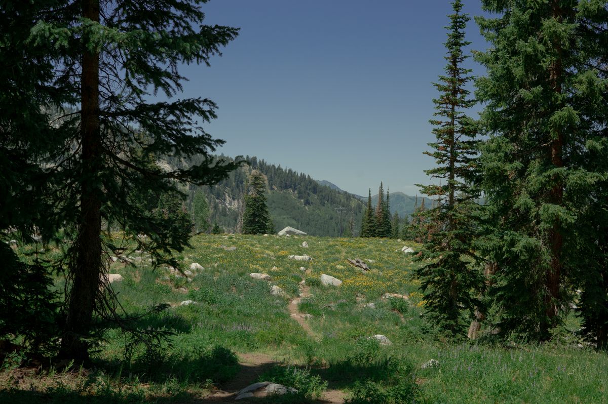 View from hole 17