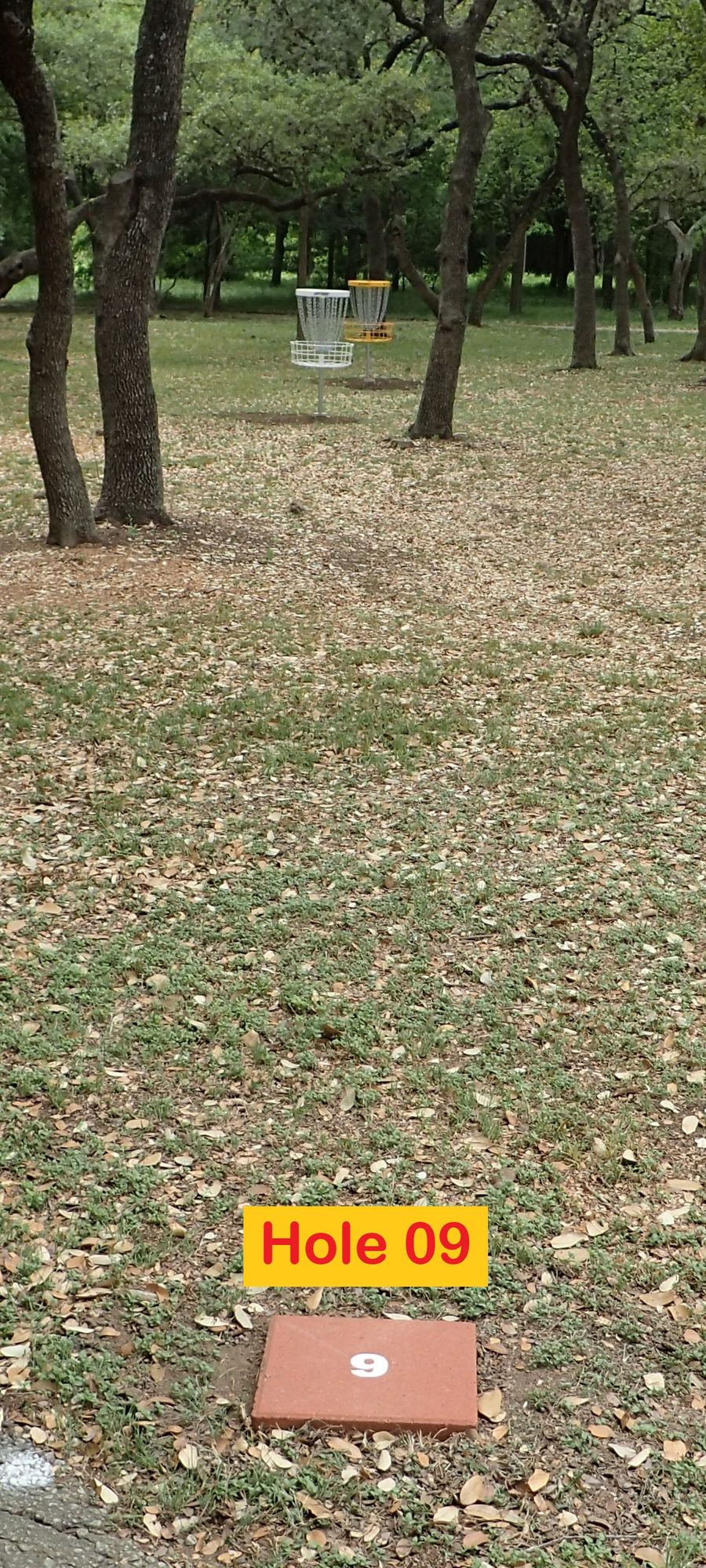 Hole 09