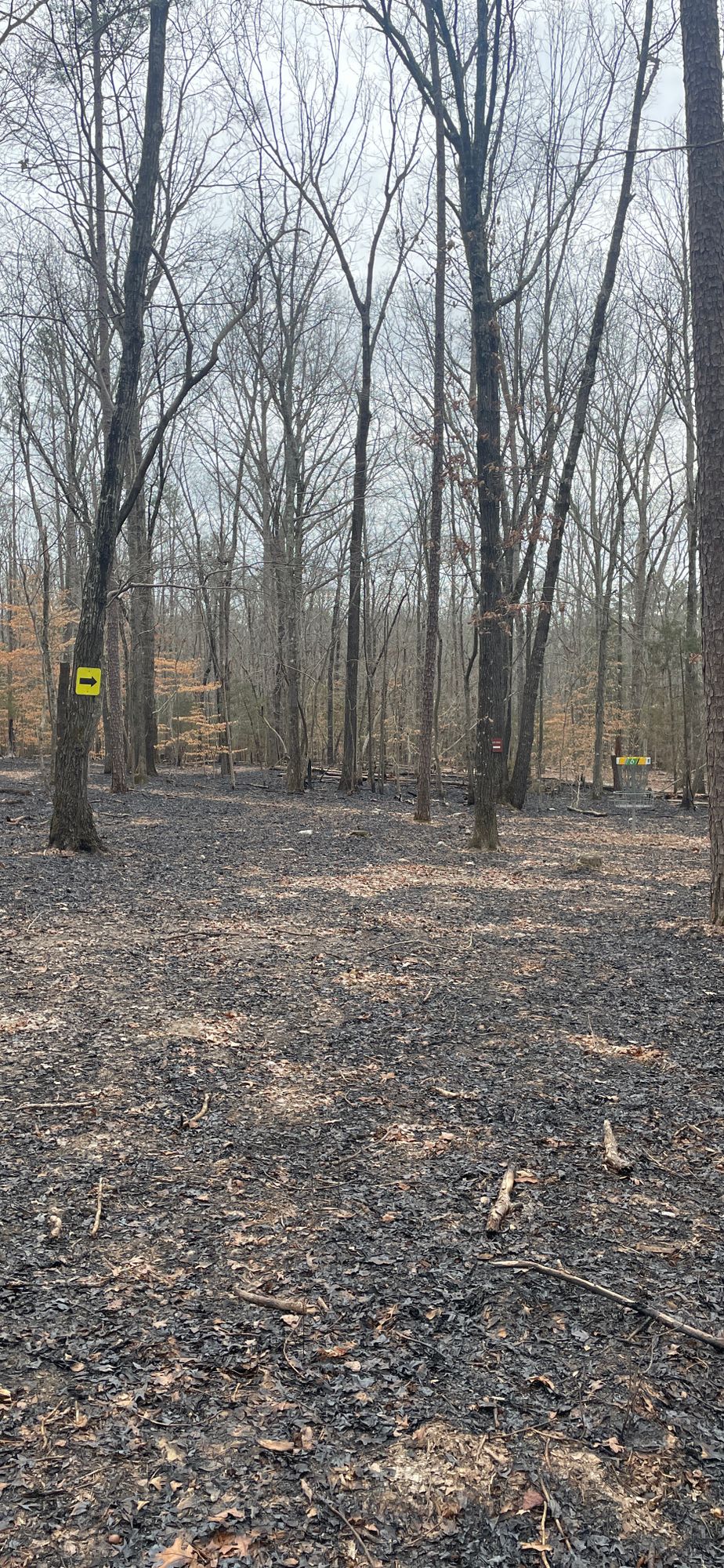 Even wild fires can’t stop the game