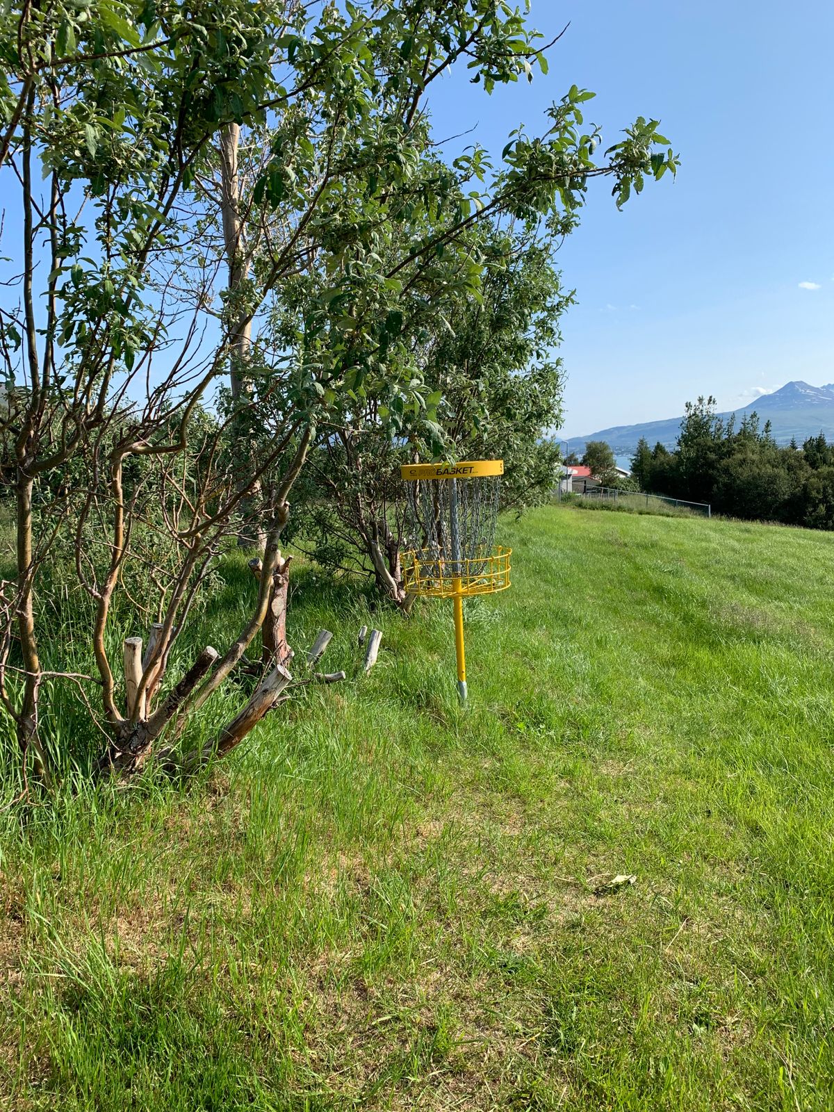Hole 5