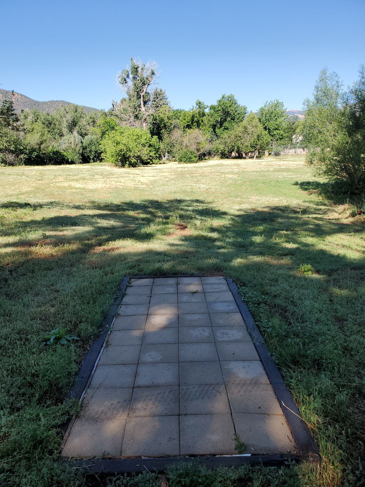 Hole 7.  Surrounded by bushes.