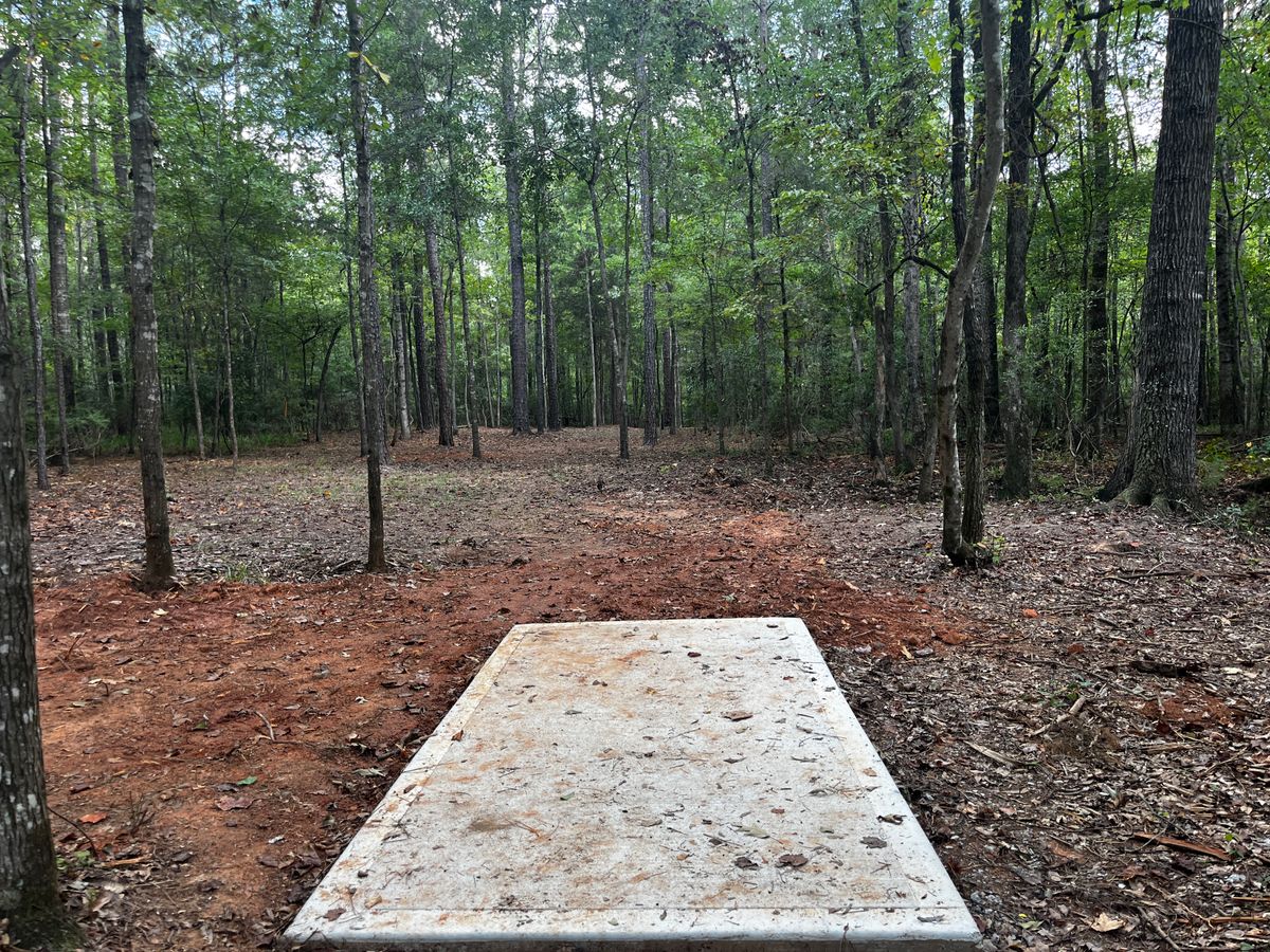 Hole 6 tee box