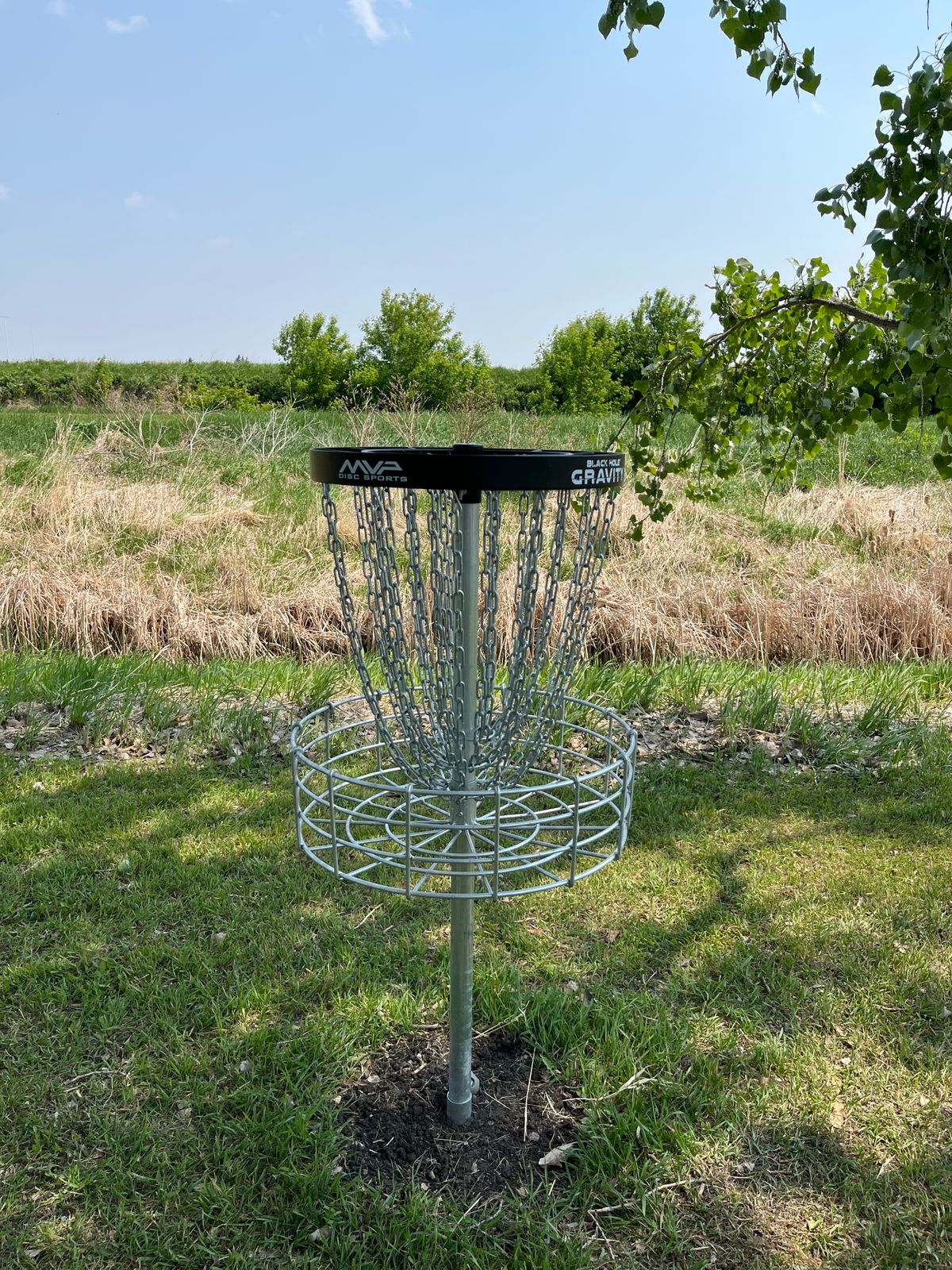 Hole 8 basket