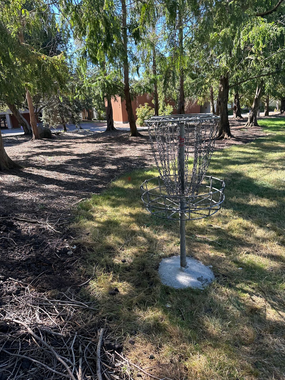 Basket on Hole 2