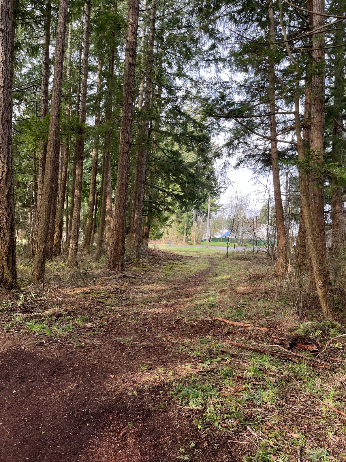 Hole 6