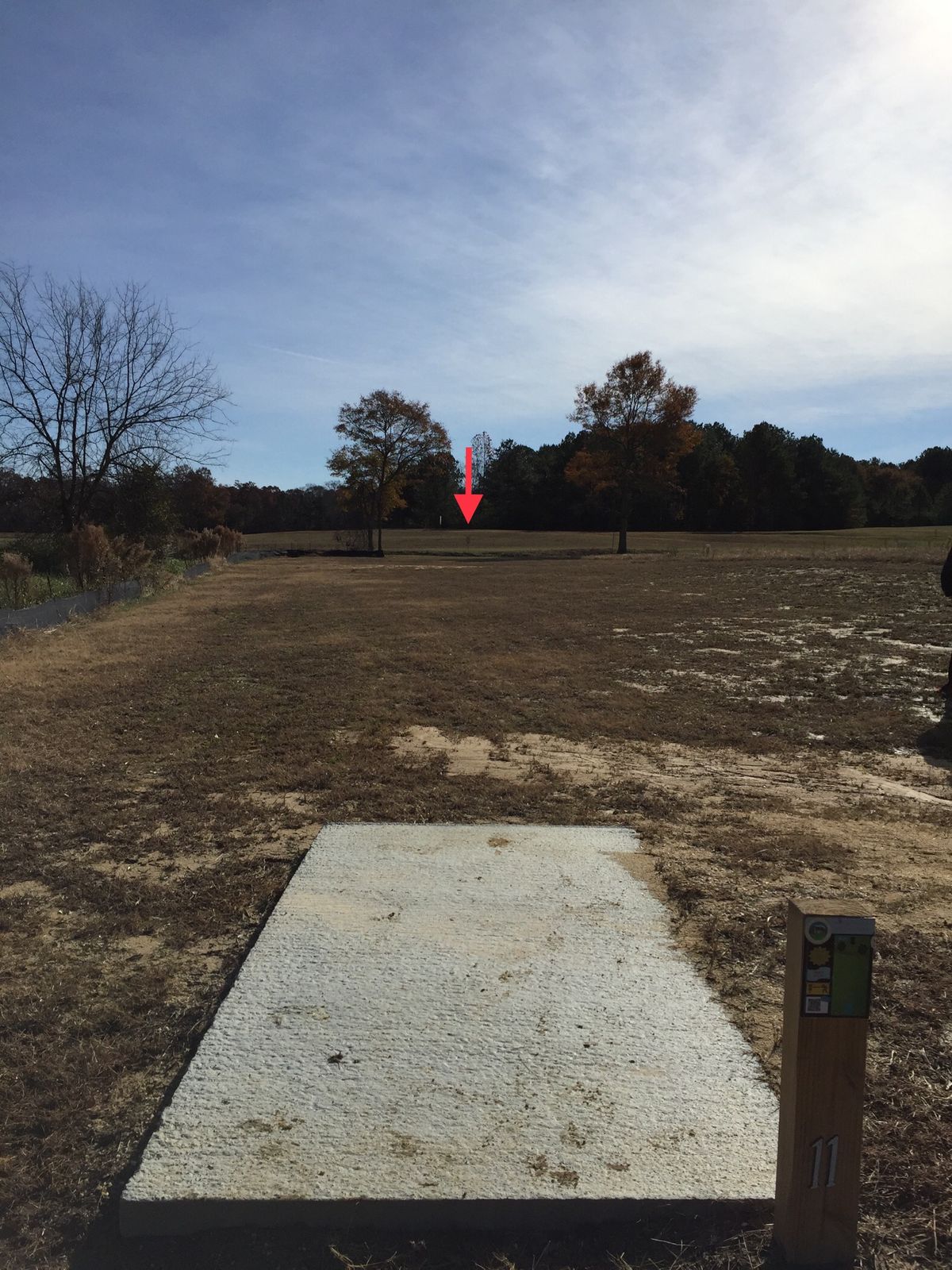 Hole #11 Tee