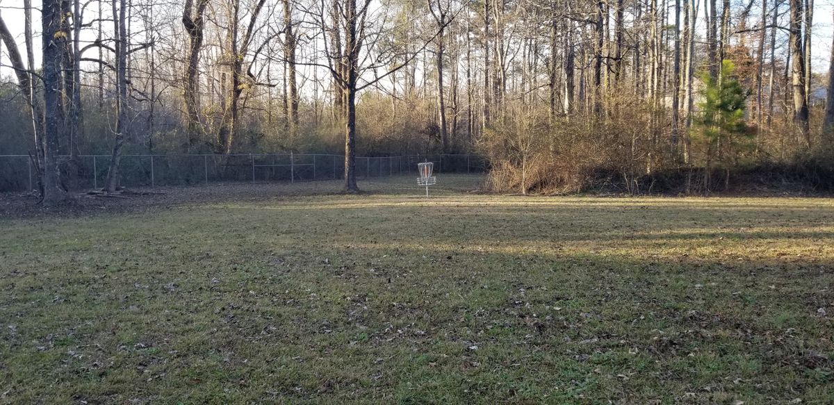 Hole 6 Fairway/Greeb
