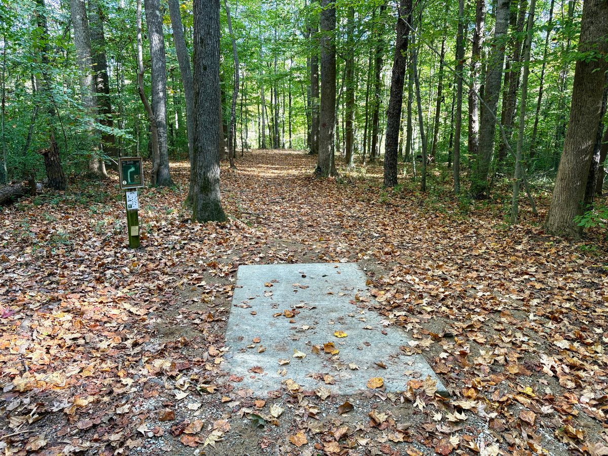 Hole 3 tee